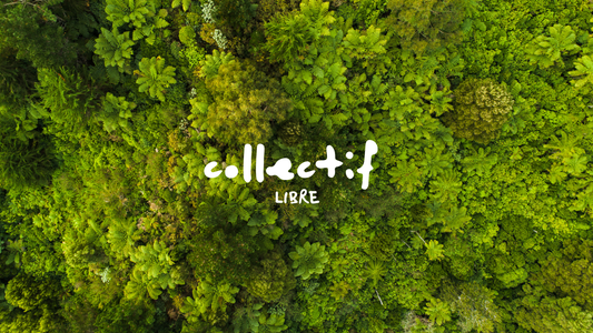 Collectif Libre Logo über grünem Wald – Symbol für Nachhaltigkeit, Umweltschutz und bewusste Mode