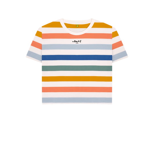 Multicolour Stripes Printed T-shirt